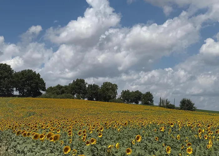 Casa Delle Σιένα