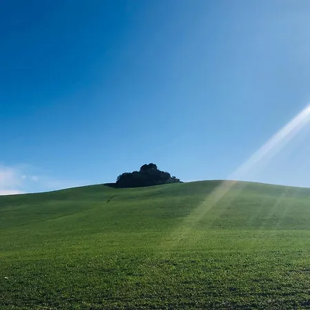 Casa Delle Apartmán Siena